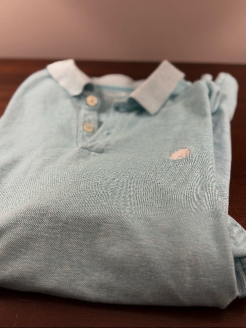 Banana Republic Mint Green Pique Polo Shirt L